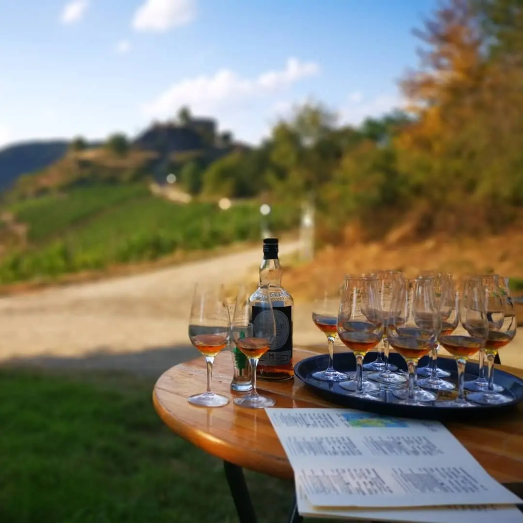 Whiskyverkostung im Weinberg mit Blick auf die Saffenburg im Ahrtal